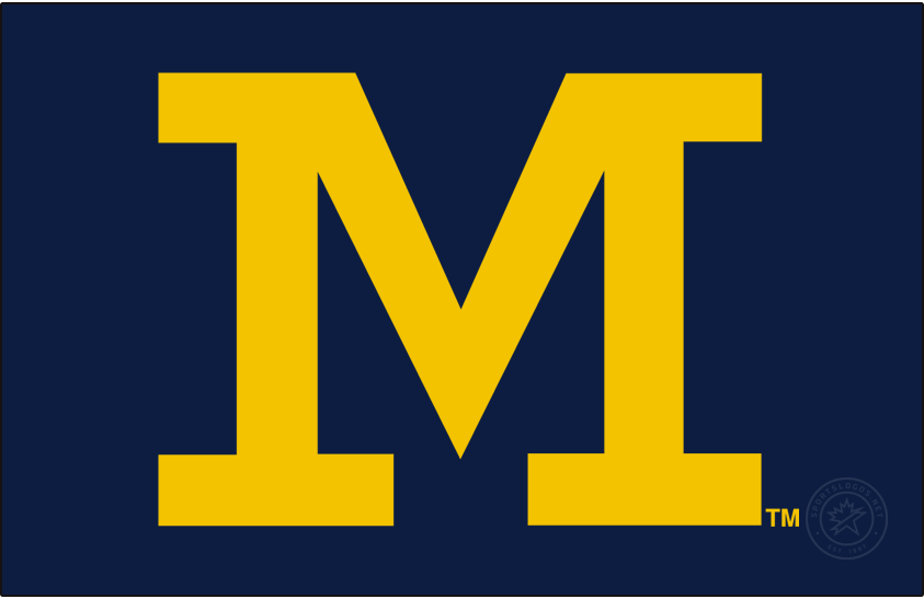 Michigan Wolverines 2016-Pres Secondary Logo v4 DIY iron on transfer (heat transfer)